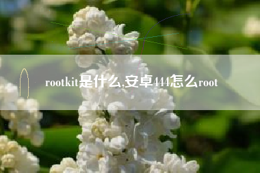 rootkit是什么,安卓444怎么root