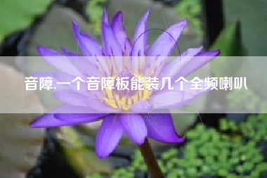 音障,一个音障板能装几个全频喇叭