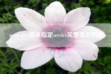 serverlet,用来指定servlet完整类名的是