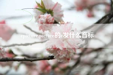 cpicture,picture的c发什么音标