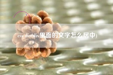 css div(div里面的文字怎么居中)