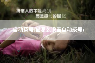 自动拨号(猫怎么设置自动拨号)