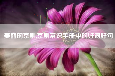 美丽的京剧,京剧常识手册中的好词好句