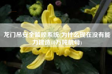 龙门吊安全监控系统(为什么现在没有能力建造10万吨航母)