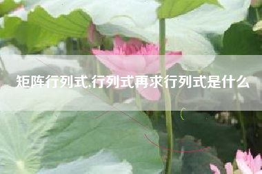 矩阵行列式,行列式再求行列式是什么