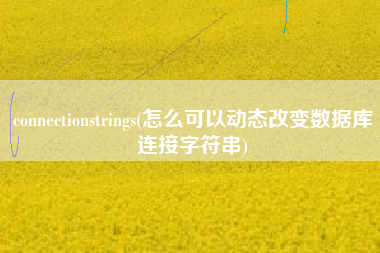 connectionstrings(怎么可以动态改变数据库连接字符串)