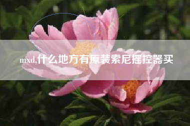 mxd,什么地方有原装索尼摇控器买