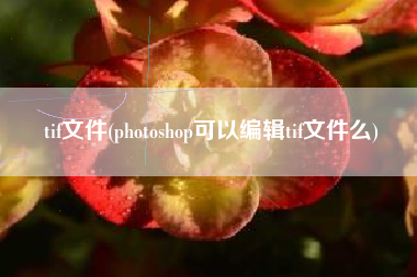 tif文件(photoshop可以编辑tif文件么)