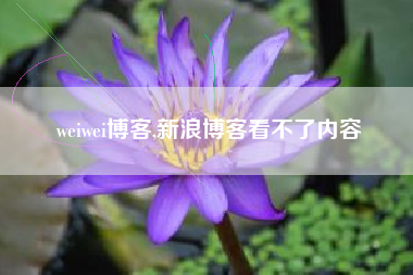 weiwei博客,新浪博客看不了内容