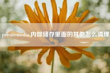privatemedia,内部储存里面的其他怎么清理