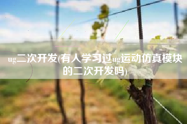 ug二次开发(有人学习过ug运动仿真模块的二次开发吗)