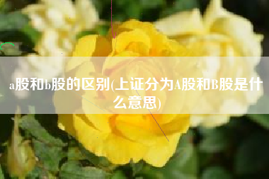 a股和b股的区别(上证分为A股和B股是什么意思)