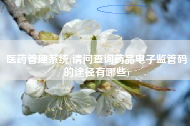 医药管理系统(请问查询药品电子监管码的途径有哪些)