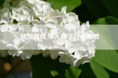 弱智游戏,等人做了什么游戏