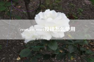 reset.css,reset按钮怎么使用