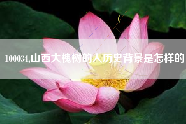 100034,山西大槐树的人历史背景是怎样的