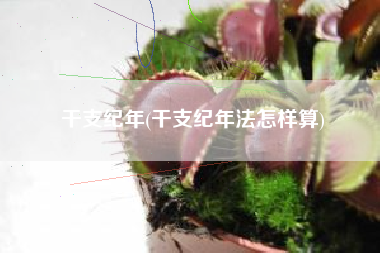 干支纪年(干支纪年法怎样算)