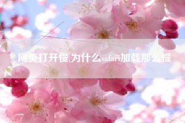 网页打开慢,为什么safari加载那么慢