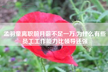 孟羽童离职前月薪不足一万,为什么有些员工工作能力比领导还强