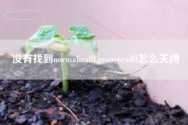 没有找到normaliz.dll,grooveexdll怎么关闭