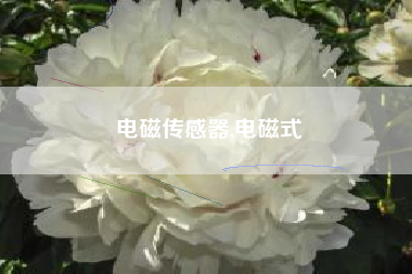 电磁传感器,电磁式
