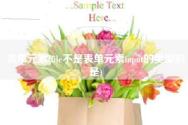 表单元素(file不是表单元素input的类型的是)