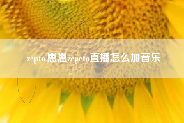 zepto,崽崽zepeto直播怎么加音乐