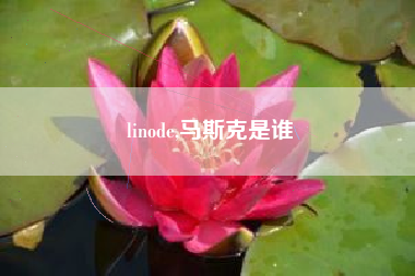 linode,马斯克是谁