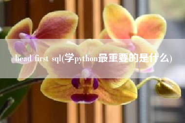 head first sql(学python最重要的是什么)