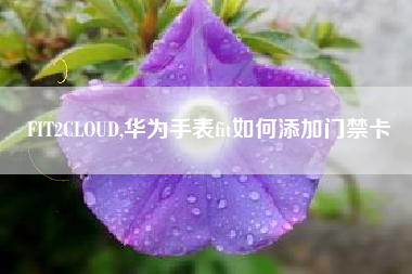FIT2CLOUD,华为手表fit如何添加门禁卡