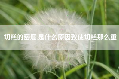 切糕的密度,是什么原因致使切糕那么重