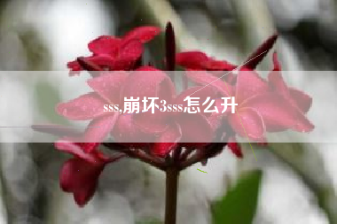 sss,崩坏3sss怎么升