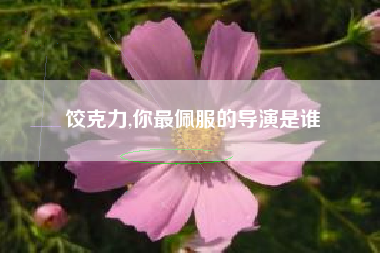 饺克力,你最佩服的导演是谁