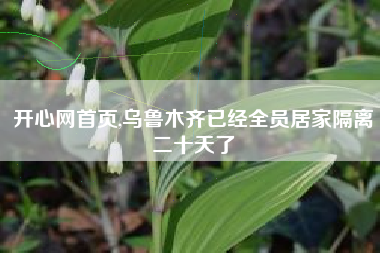 开心网首页,乌鲁木齐已经全员居家隔离二十天了