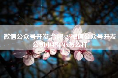 微信公众号开发,合肥o2o微信公众号开发公司小猪CMS怎么样