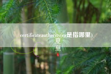 certificateauthority(ca是指哪里)