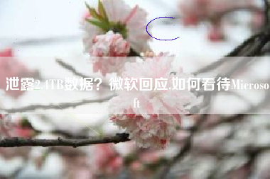 泄露2.4TB数据？微软回应,如何看待Microsoft