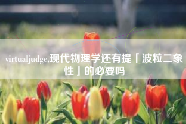 virtualjudge,现代物理学还有提「波粒二象性」的必要吗