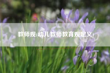 教师观(幼儿教师教育观定义)