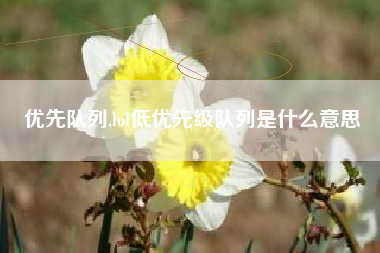 优先队列,lol低优先级队列是什么意思