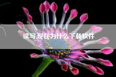 读写,现在为什么下载软件