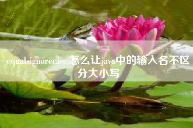 equalsignorecase,怎么让java中的输入名不区分大小写