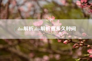 dns解析,dns解析要多久时间