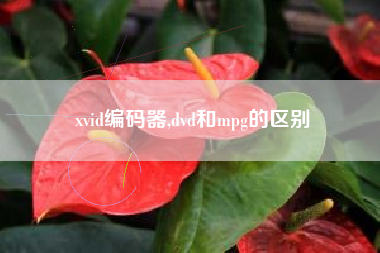 xvid编码器,dvd和mpg的区别