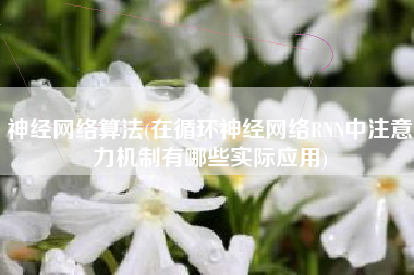 神经网络算法(在循环神经网络RNN中注意力机制有哪些实际应用)