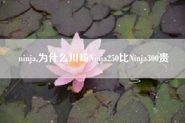 ninja,为什么川崎Ninja250比Ninja300贵