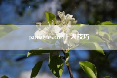 partialview,creo十大技巧