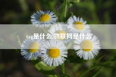 tag是什么,物联网是什么