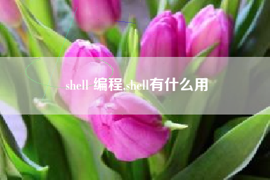shell 编程,shell有什么用