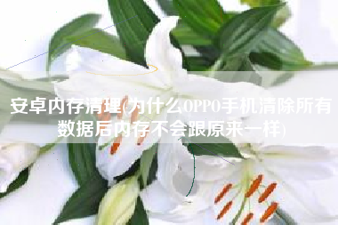 安卓内存清理(为什么OPPO手机清除所有数据后内存不会跟原来一样)